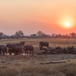 Impressionen Botswana Mietwagenrundreise – 4×4 Abenteuer für Selbstfahrer (10 Tage)